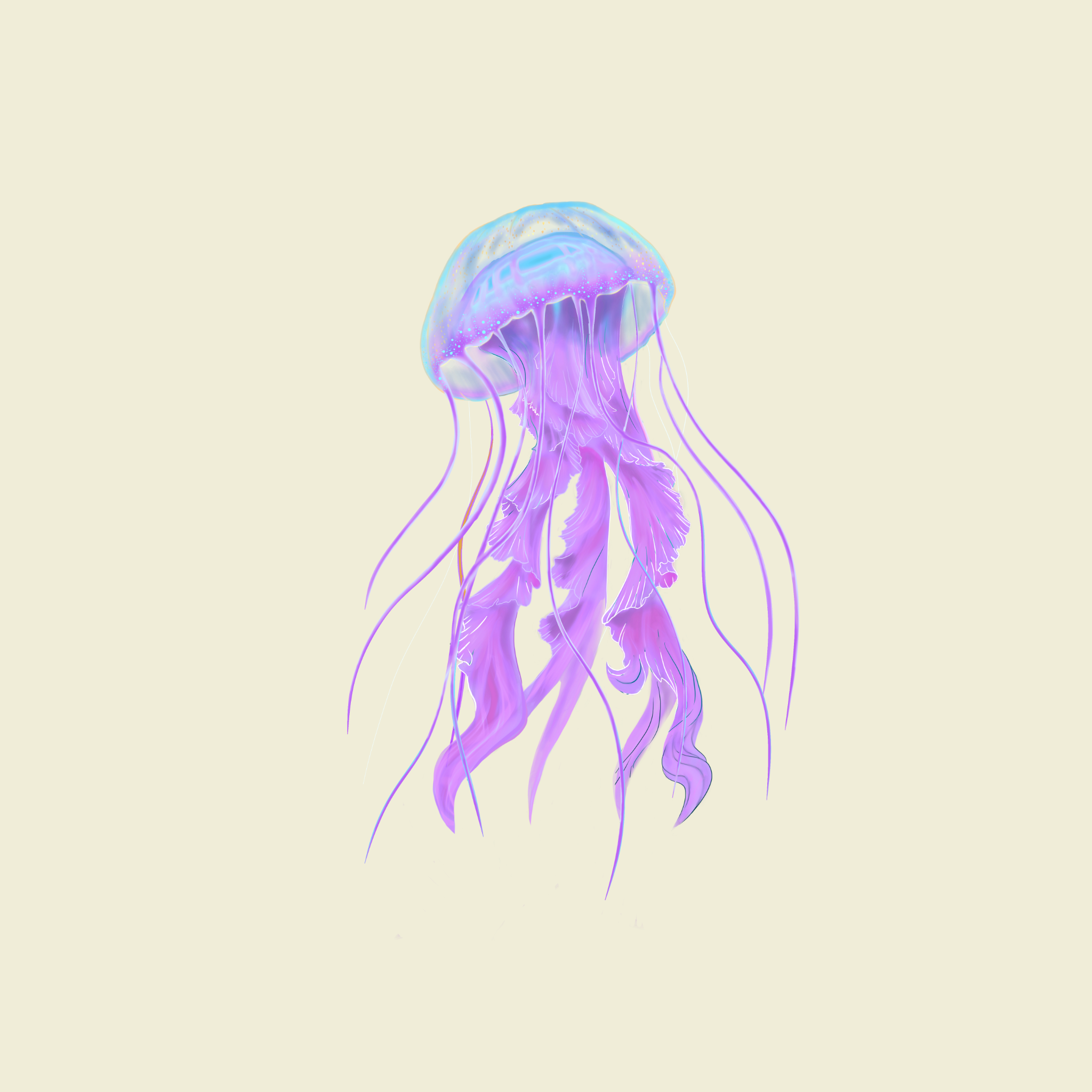 Jellyfish